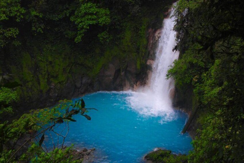 Una cascada vertiéndose en una piscina turquesa rodeada de exuberante vegetación. 1