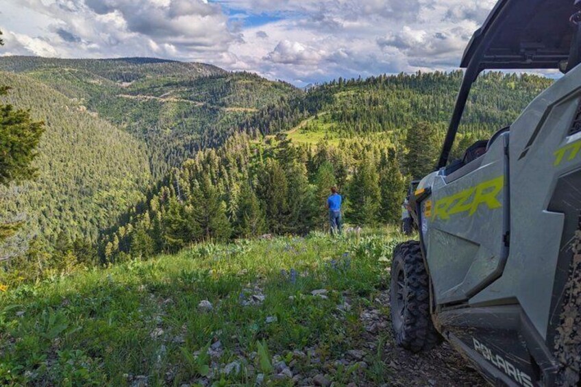 A Polaris RZR vehicle on a grassy hillside with a forested valley in the background. 4