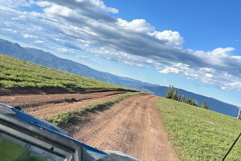 A dirt road curving through a grassy field with mountains in the background. 2