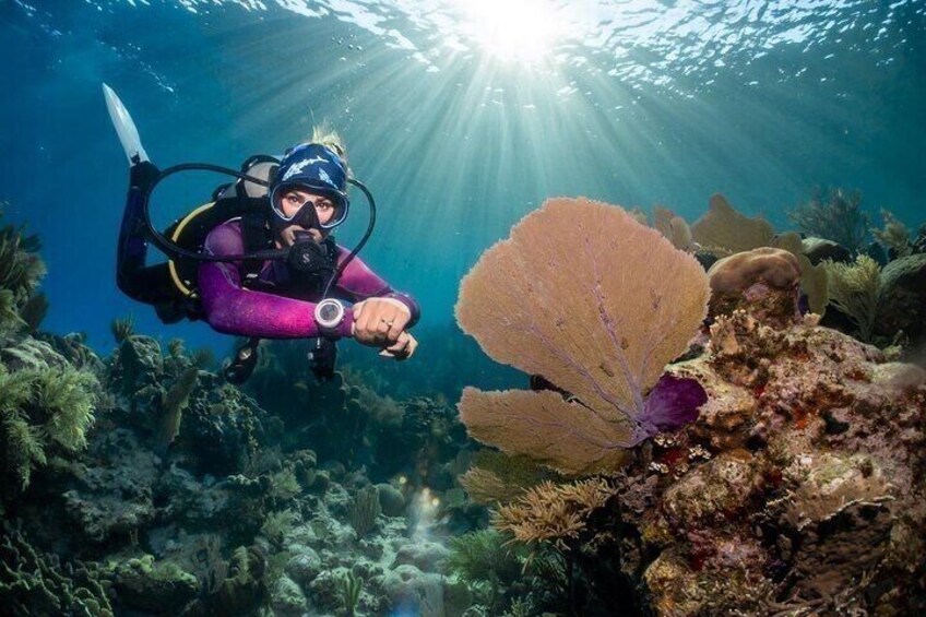 A diver in a purple wetsuit with a knife, surrounded by underwater coral and marine life. 1
