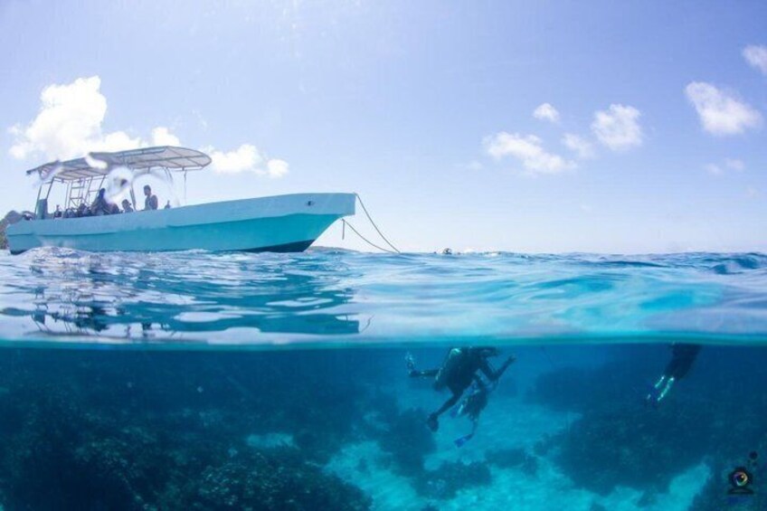 Roatan Scuba Diving and Certification Adventures and Tours 5