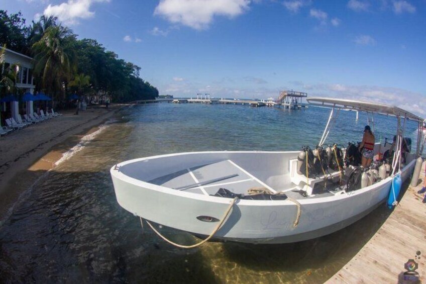 Roatan Scuba Diving and Certification Adventures and Tours 4