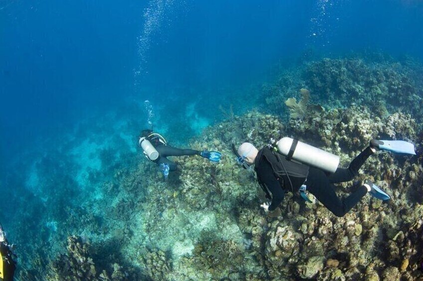 Two divers underwater with fins and tanks, surrounded by a rocky seabed. 5