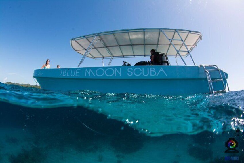 Roatan Scuba Diving and Certification Adventures and Tours 2