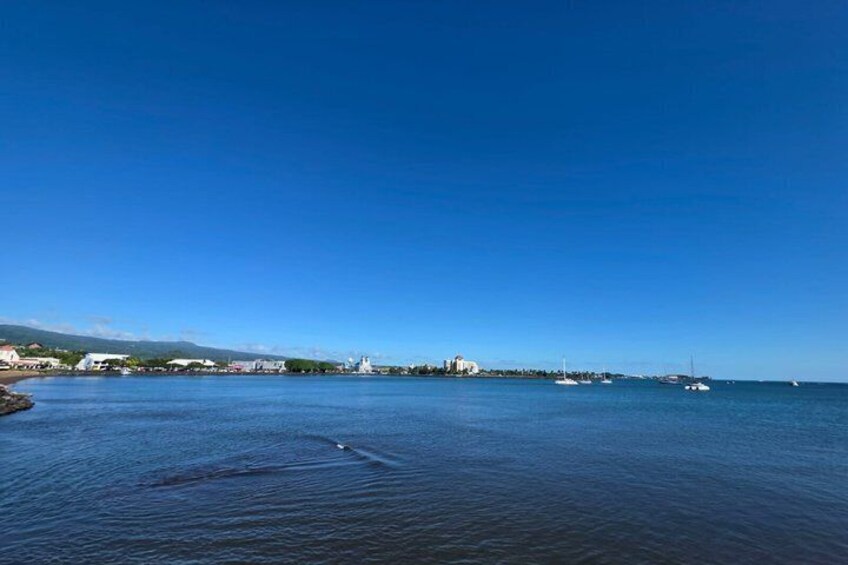 Apia Town and Nature Experience Tour 3