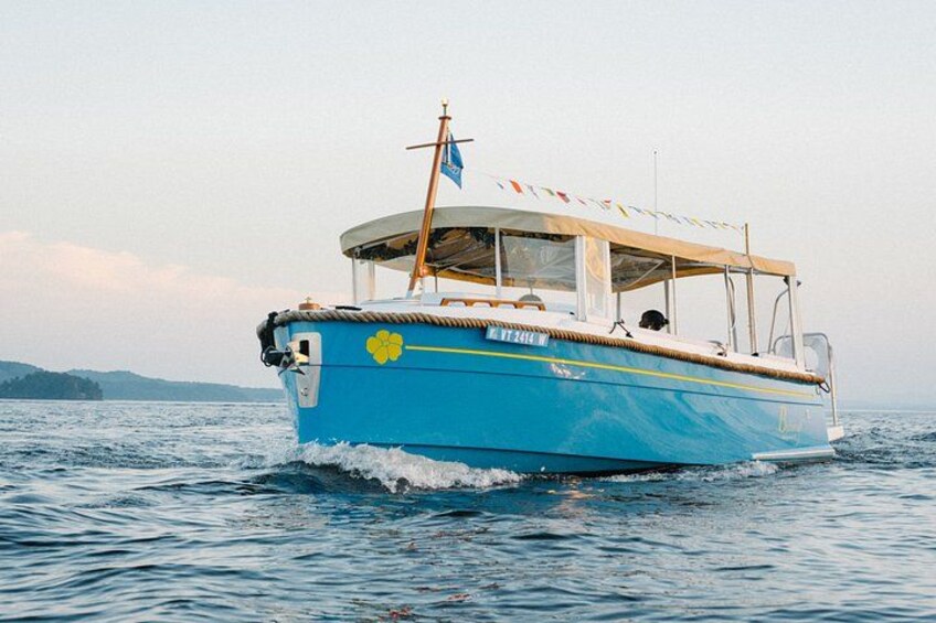 Private Daytime Picnic Boat Cruise (Up to 6 Passengers) 2