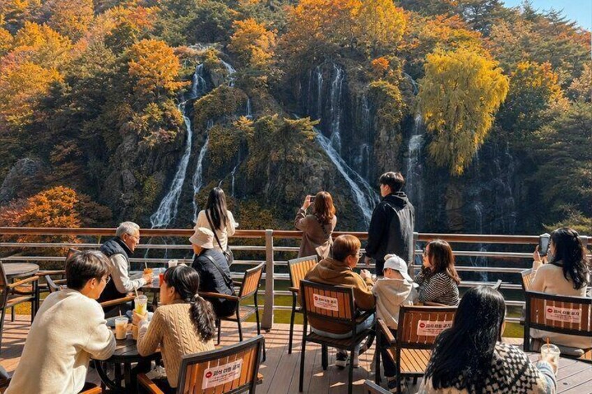 A group of people seated at tables overlooking a waterfall. 4
