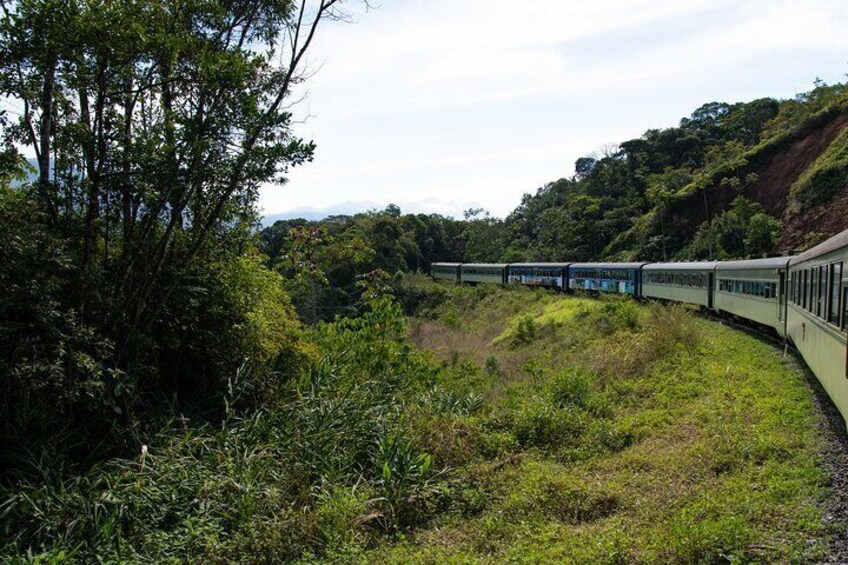 A train traveling through a lush, green landscape with dense vegetation and hills in the background. 1