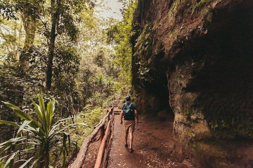 A person hiking on a dirt trail surrounded by dense forest and rocky cliffs. 5