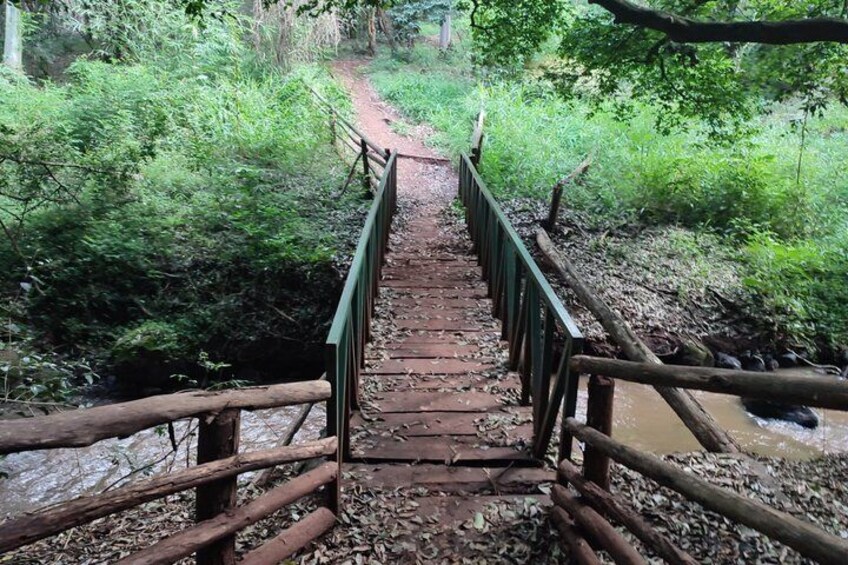 A wooden bridge with metal railings over a muddy stream in a forested area. 1