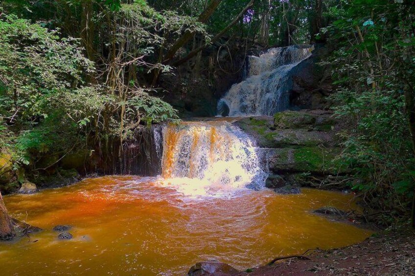 A waterfall in a forested area with a muddy riverbed. 3