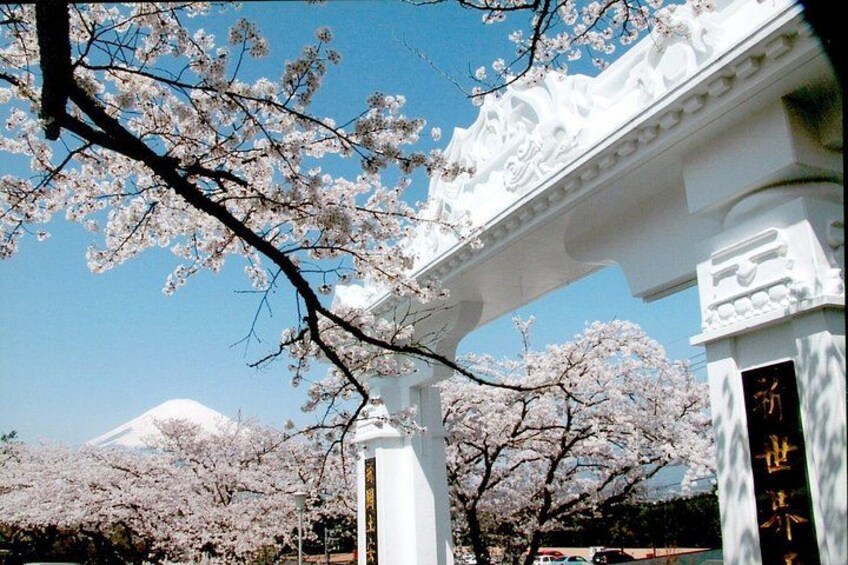A white building with cherry blossoms and a mountain in the background. 5