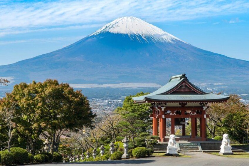 Mt. Fuji & Hakone Private Tour by Car with Licensed Guide 2