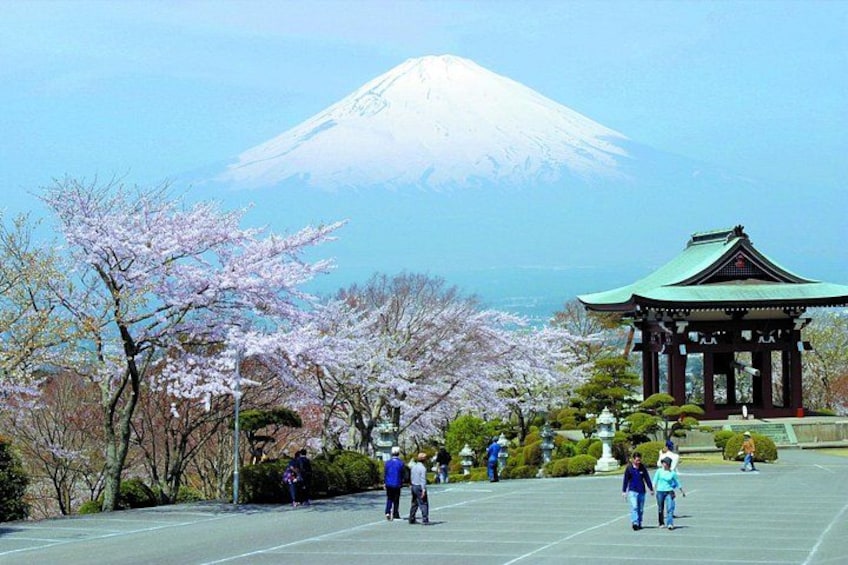 A snow-capped mountain, cherry blossoms, and a traditional Japanese pavilion. 1