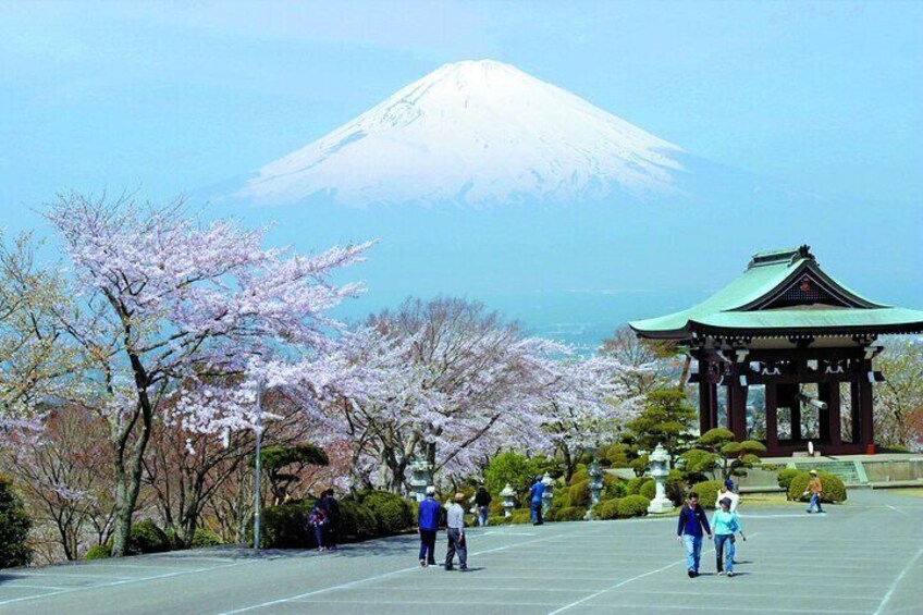 A temple with cherry blossoms and Mount Fuji in the background. 1