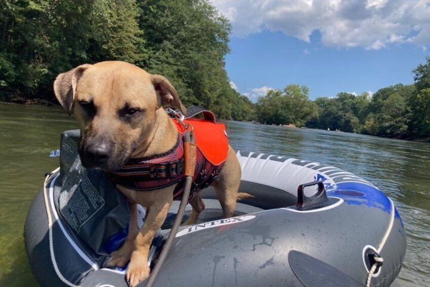 Tubbing the Chattahoochee in Atlanta 2