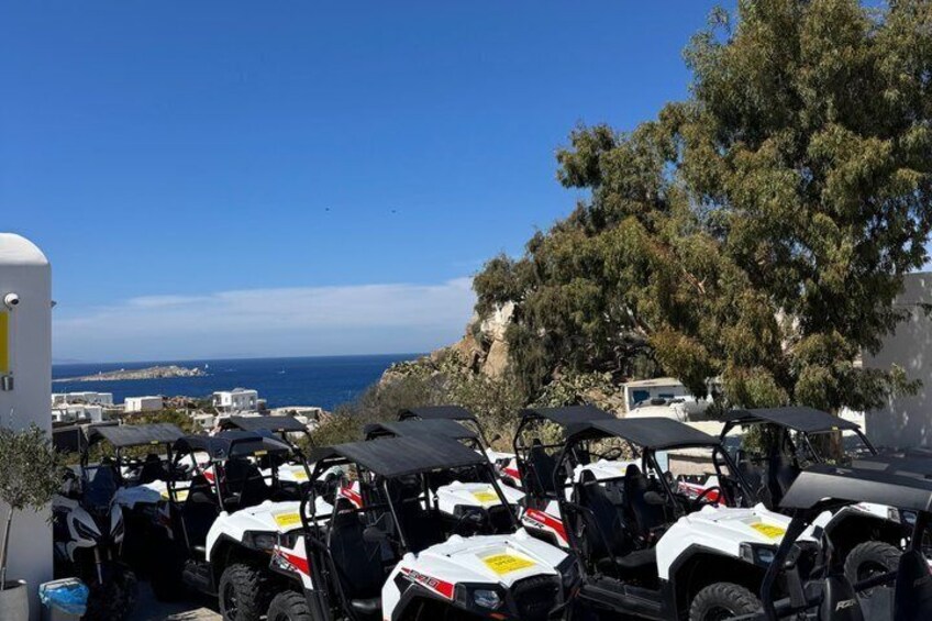 A row of ATVs parked on a hillside with a coastal view. 2