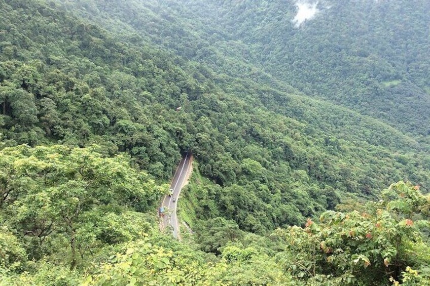 A winding road through a dense forest. 5