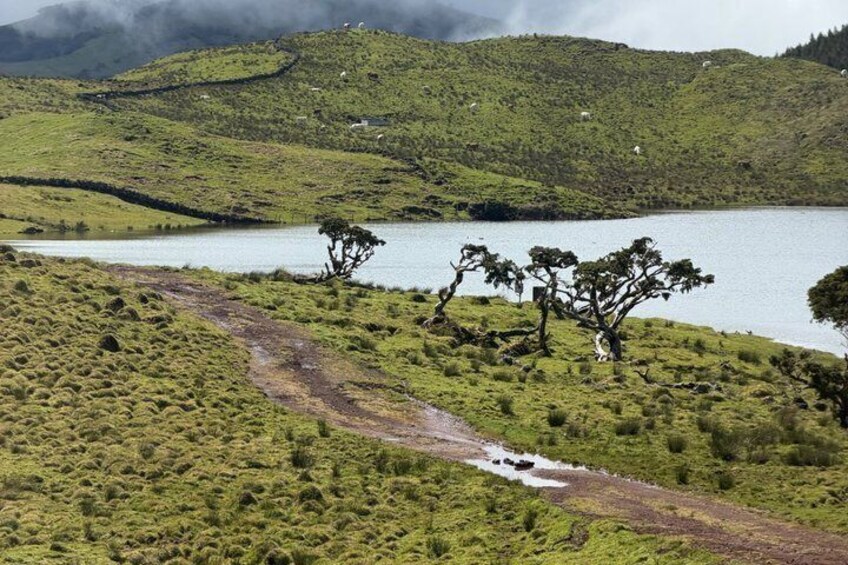 Private Tour of the Volcanic Lagoon Route 4