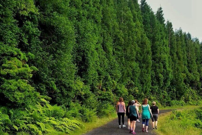 Private Tour of the Volcanic Lagoon Route 3