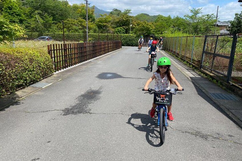 A paved path with cyclists, surrounded by greenery and a fence. 2