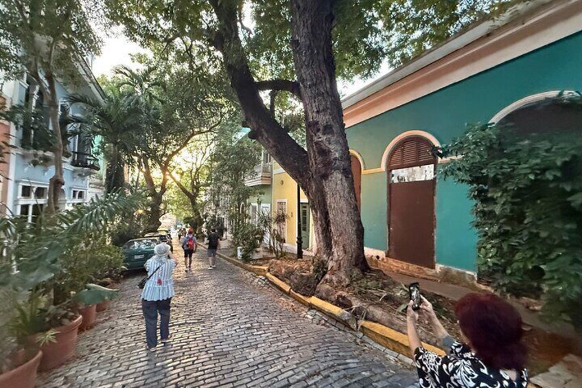 A cobblestone street lined with trees and buildings, a person taking a photo, and a parked car. 4