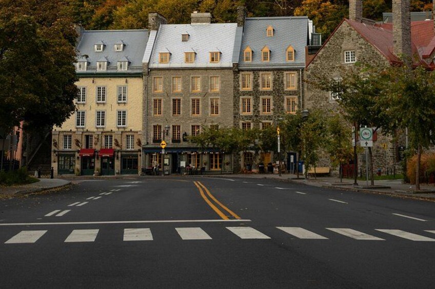 A street with buildings, a pedestrian crossing, and trees. 4
