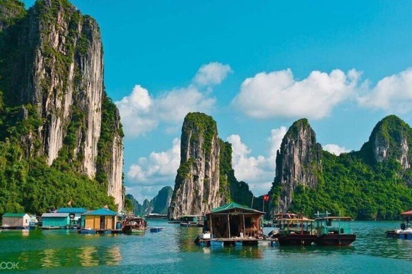 Ha Long Bay Cruise Tour with Canoe, Kayaking, Titov Island 4