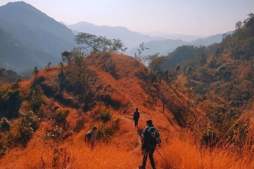 A hiker walking on a grassy hillside with a mountain in the background. 4