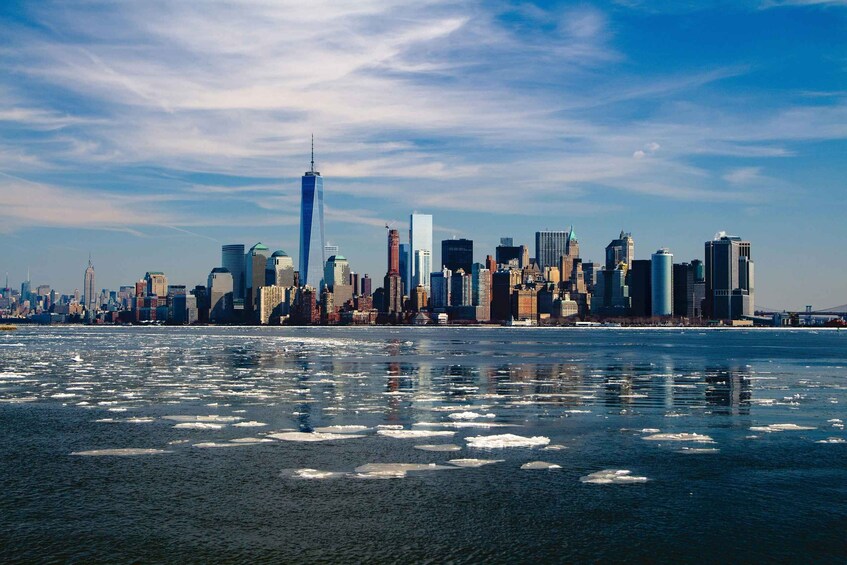 Picture 7 for Activity New York City: Minivan Tour 2