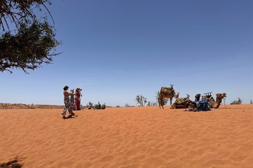 A desert landscape with camels and people. 3