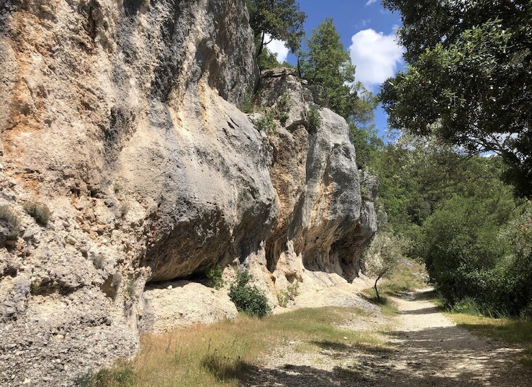 Picture 3 for Activity Arrone: Guided rafting tour on the Nera and trekking to Piediluco with a hermitage 3
