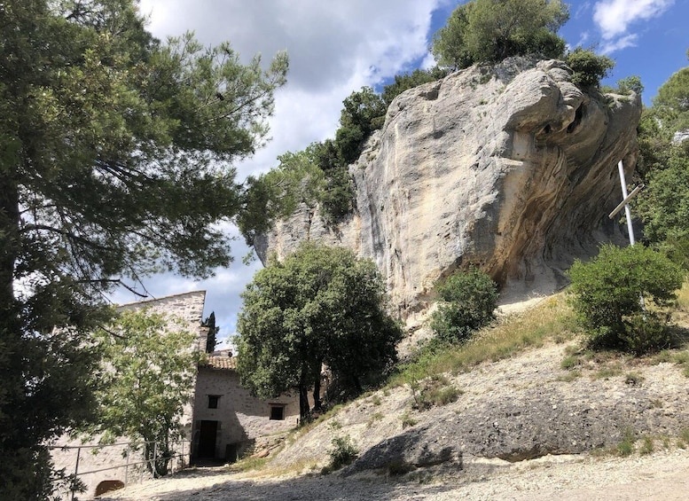 Picture 2 for Activity Arrone: Guided rafting tour on the Nera and trekking to Piediluco with a hermitage 5