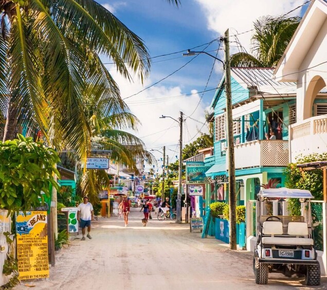 A tropical street lined with palm trees and colorful buildings. 4