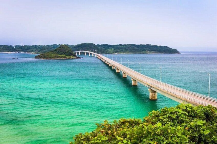 Akiyoshido Cave, Motonosumi and Tsunoshima Tour 5