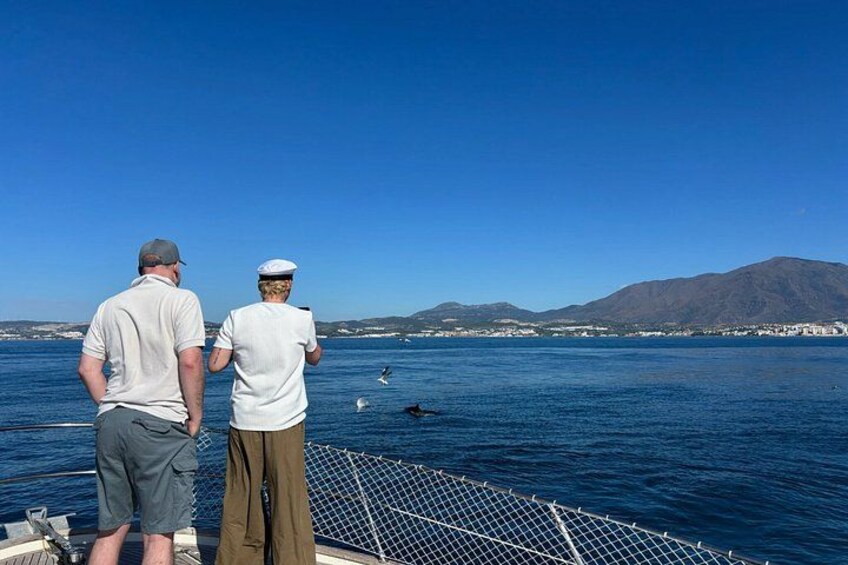 Dolphin Watching in Estepona Le Flot Riant 2