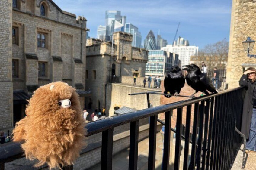 Tower of London Private Guided Tour 2