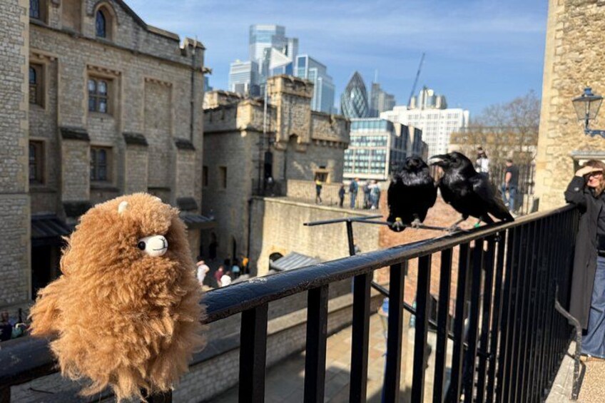 A brown plush toy, a black bird, and a person on a bridge with buildings in the background. 2