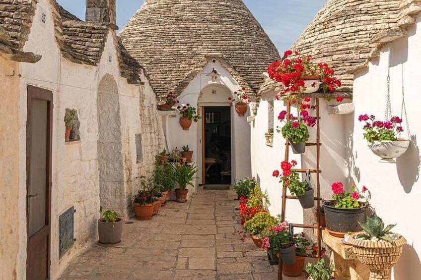 From Bari Alberobello and Matera With Tour Guide 3