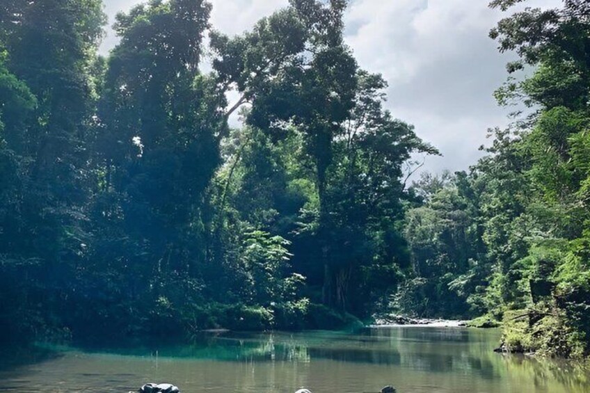 Puerto Rico River and Beach Tour 4