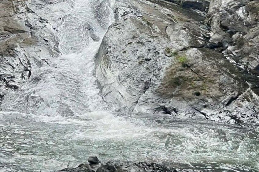 El Yunque Rock Slide and Luquillo Beach Tour 1