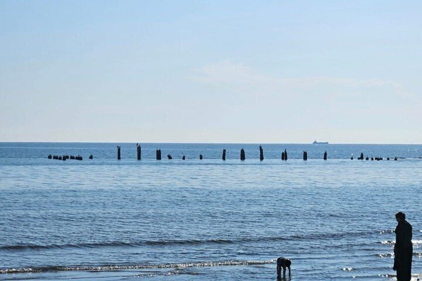 A calm sea with a person standing on the shore and a dog in the water. 3