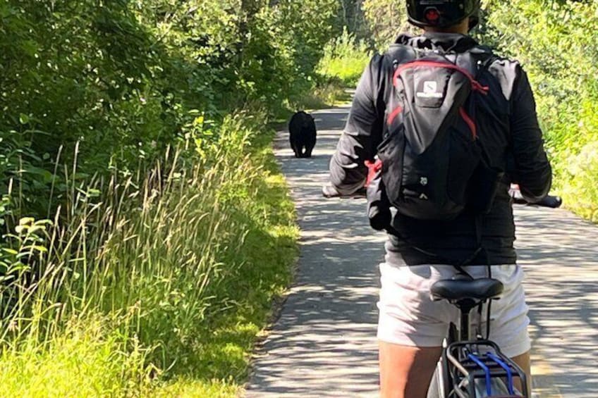 A person riding a bicycle on a paved path surrounded by greenery. 5