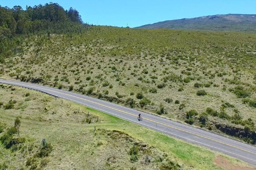 Upcountry Haleakala Bike and Brew Tour 2