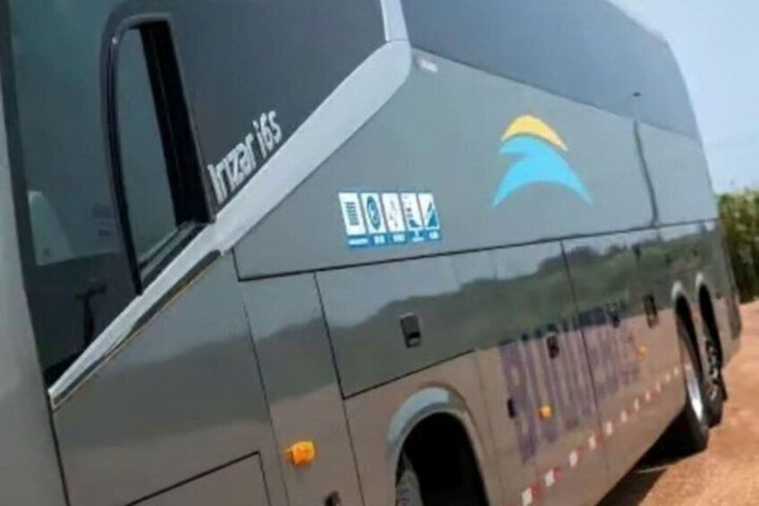 A bus with a logo and text on its side. 2