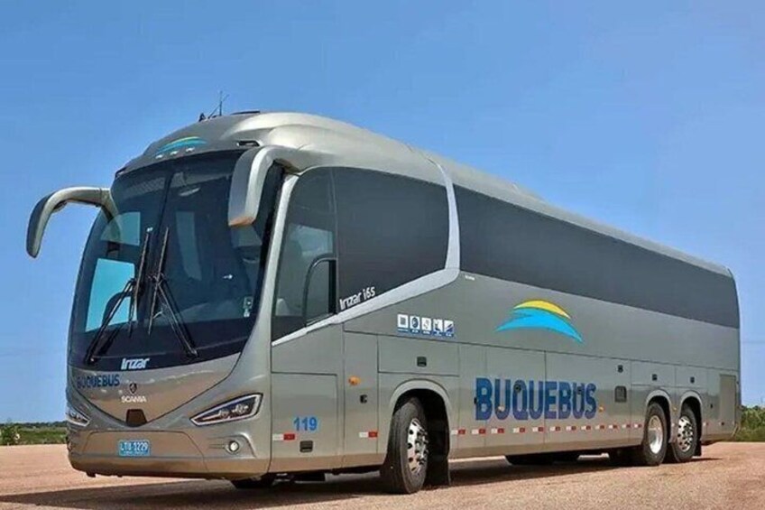 A large bus with 'BUQUEBUS' branding, a blue and yellow logo, and the number '119' on its side. 4
