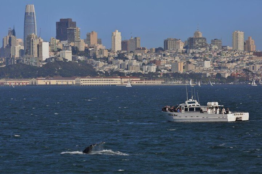 A city skyline with a boat in the foreground. 1