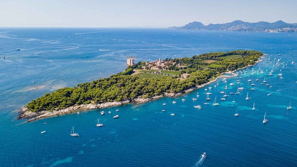 An aerial view of a coastal island with dense greenery, a historic tower, and numerous boats in the surrounding waters. 3
