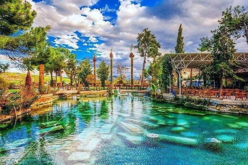 A clear blue pool surrounded by trees and a covered area with chairs. 5