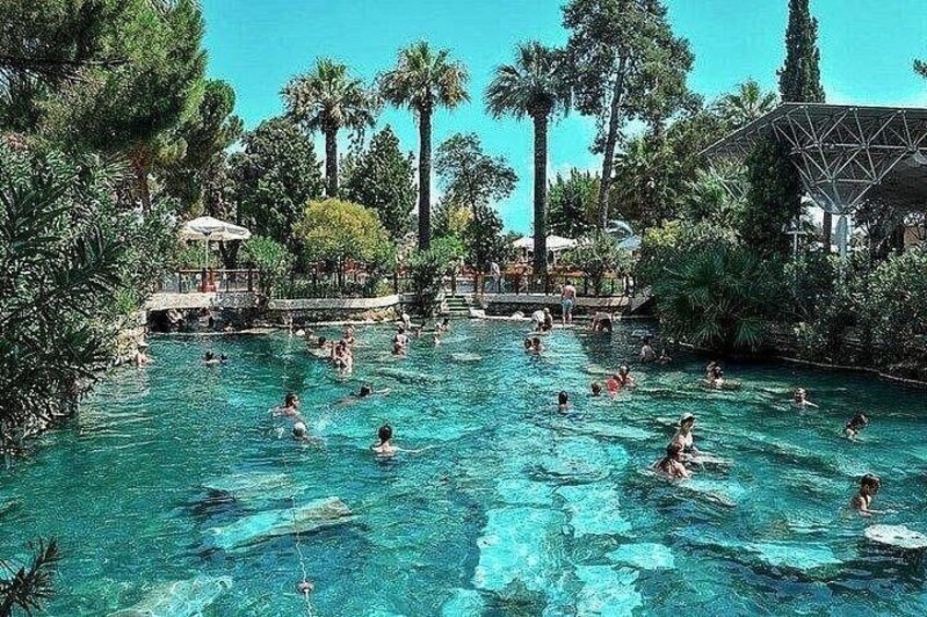 A swimming pool surrounded by palm trees and greenery. 2